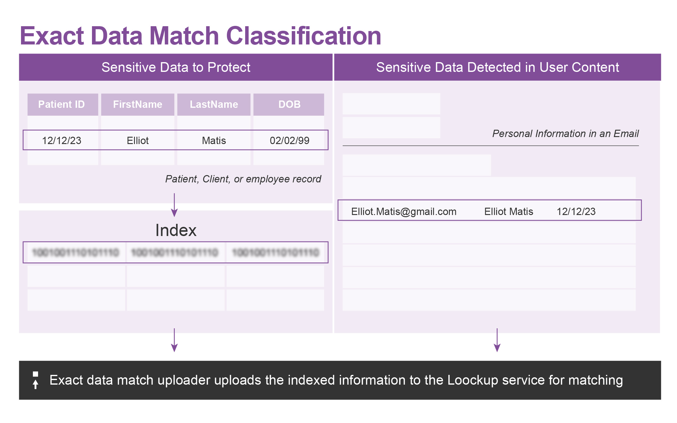 Exact data match classification