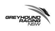 Greyhound Racing NSW
