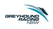 Greyhound Racing NSW