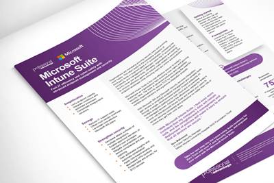 Endpoint Security and Management Consulting Services