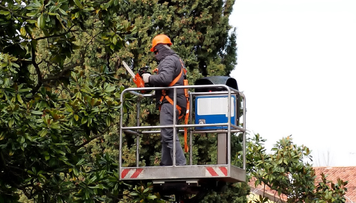Active Tree Services