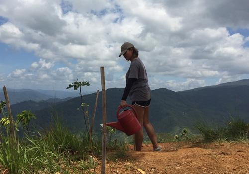 Team members spend their weekend nurturing the planet. 