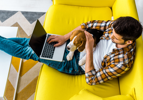 COVID-19 Business Continuity with Office 365 and Teams Extended Trial 